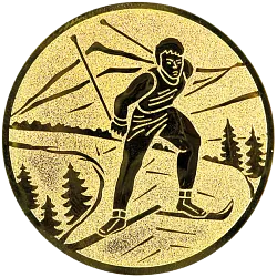 Emblem E159 bežecké lyže