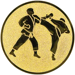 E78 Karate emblém