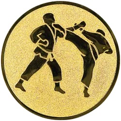 E78 Karate emblém